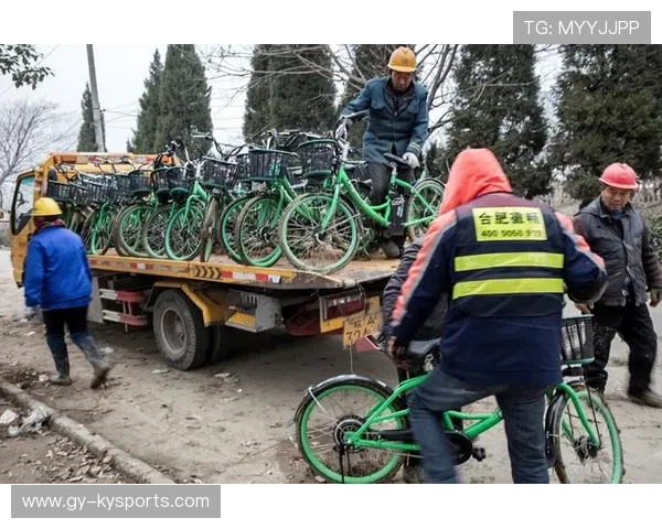 自行车产业链本土化趋势明显，自行车行业现状